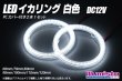 画像1: LED イカリング 白色 (1)