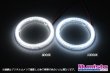 画像5: LED イカリング 白色 (5)