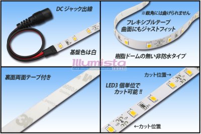 画像1: Ra98 太陽光テープLED 非防水 60LED/m 1-5m