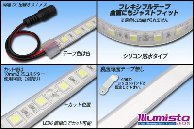 画像1: 24VテープLED60LED/mシリコン防水 赤色 10m