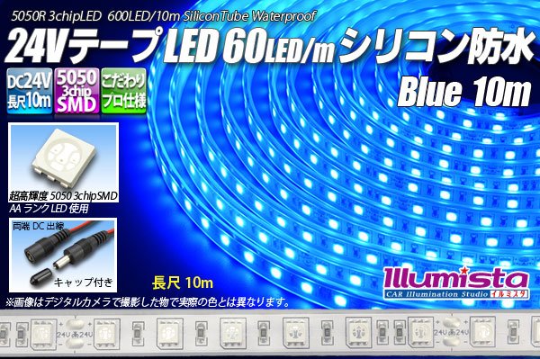 画像1: 24VテープLED60LED/mシリコン防水 青色 10m (1)