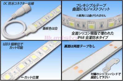 画像1: 全灌防水テープLED 60LED/m IP68 白色 1-5m