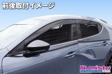 画像2: カーウィンドウネット (2)