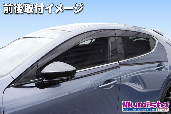 画像2: カーウィンドウネット (2)