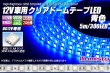 画像1: 12V車用クリアドームテープLED 青色 5m/300LED (1)