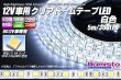 画像1: 12V車用クリアドームテープLED 白色 5m/300LED (1)