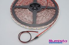 画像3: 24V車用クリアドームテープLED 白色 10m/600LED (3)
