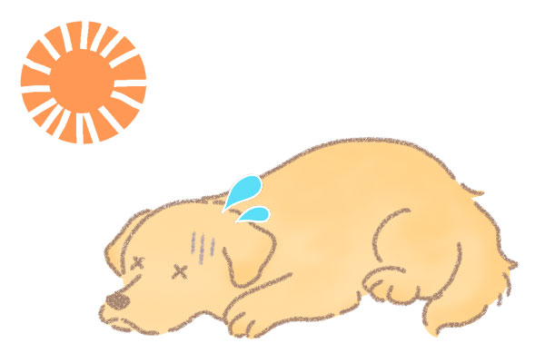 暑さに弱い犬種